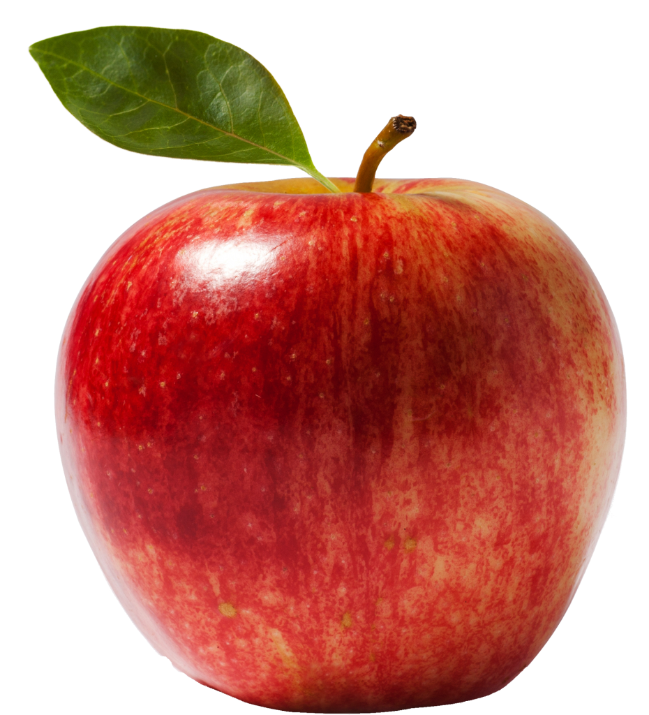 apple picture naming for speech therapy